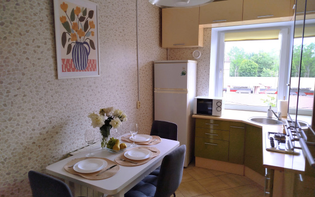V tsentre Zelenogradska v 5 minutakh ot morya Apartments