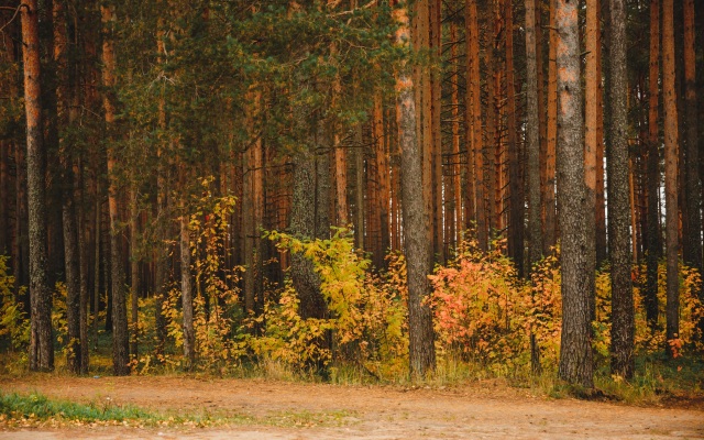 Гостиница Уют