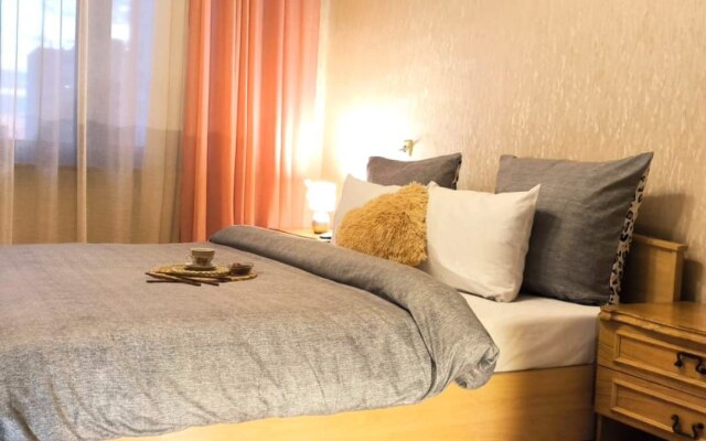 Просторные апартаменты Lora Home на Пражской