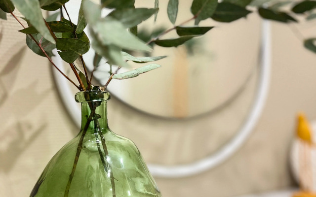Your Eco Relax Apart Apartments