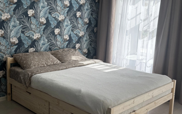 Апартаменты Уютные Кронверкский проспект