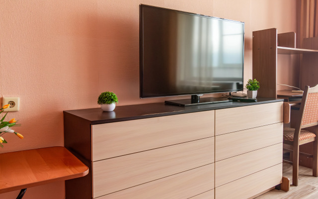 S Panoramnym Vidom Flat