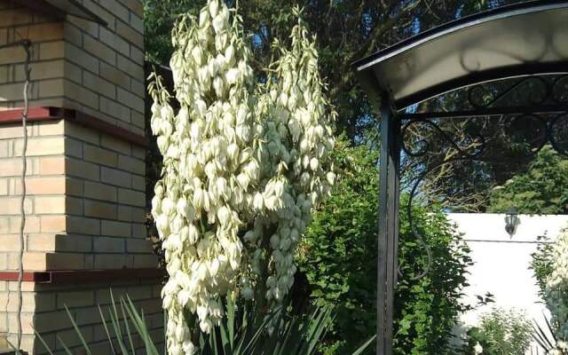 Morskaya 51 Guest House