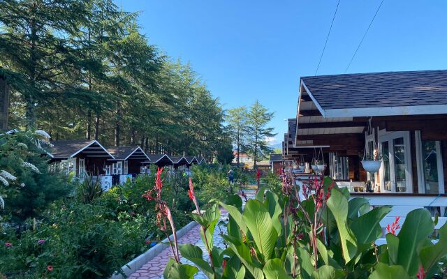 Eco House Pitiunt Resort Hotel