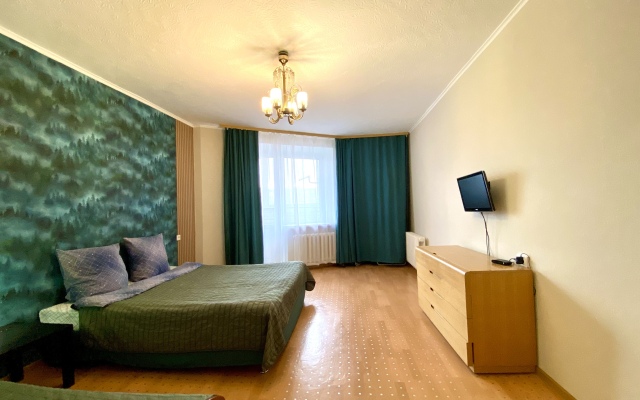 Dekabrist na Shilova 46-7 Apartments