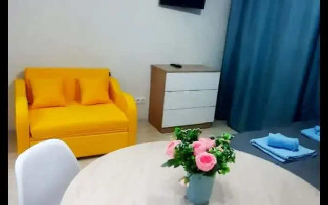 Studiya ryadom s Olimpiyskimi obyektami Flat