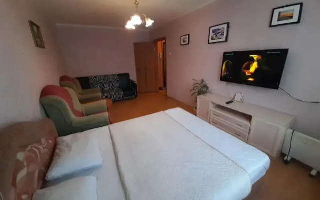 Апартаменты с 1 комнатой с красивым видом на город (КВАРТИРА51)