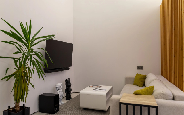 Two-Level Apartments in the City Center R14-Apart