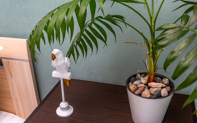 Апартаменты Mintroom с панорамными окнами в новом ЖК Оазис Русская, 95