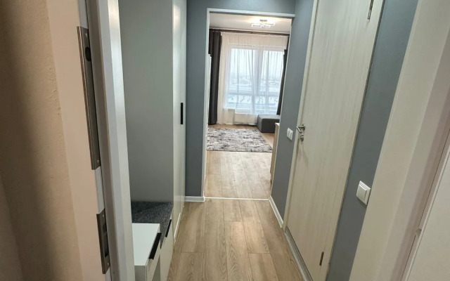 Uyutnaya Studiya Flat