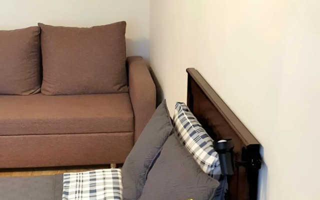 Квартира с видом на Ботанический сад