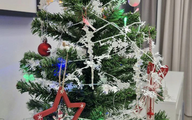 Апартаменты Мики Интуит