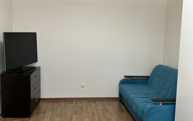 Apartamenty Na Vitebskom Flat