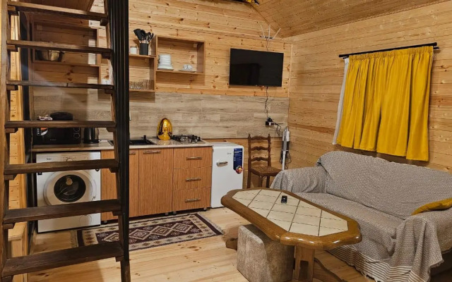 Mood villa kazbegi with tube Chalet