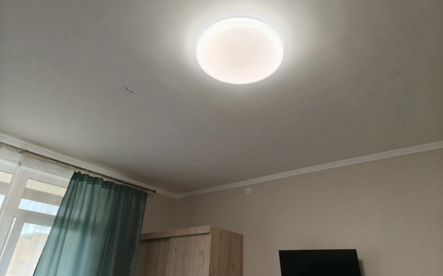 V Petrodvortsovom Rayone Flat