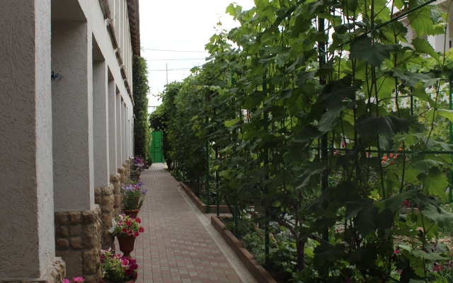 Solnechnaya Orkhideya Guest house