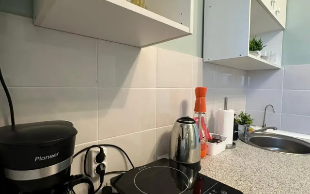 Studiya, 30 M² Beloozerskiy Apartments