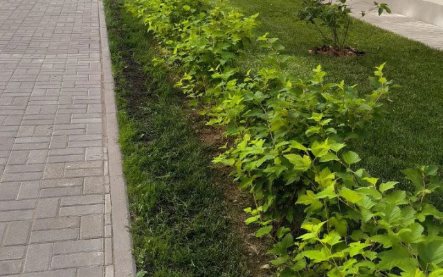 Квартира ЕвроДвушка В Самом Сердце Ярославля