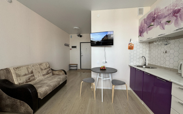 Studiya Loginova 5/2-633 Flat