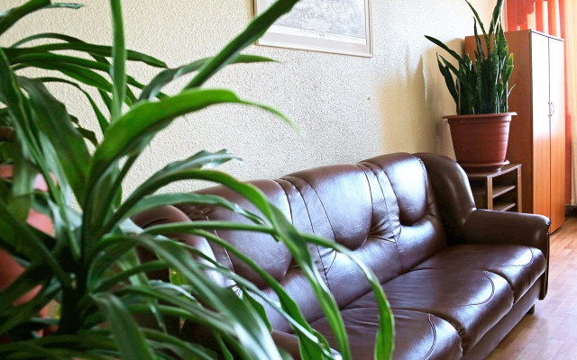 Отель Родина