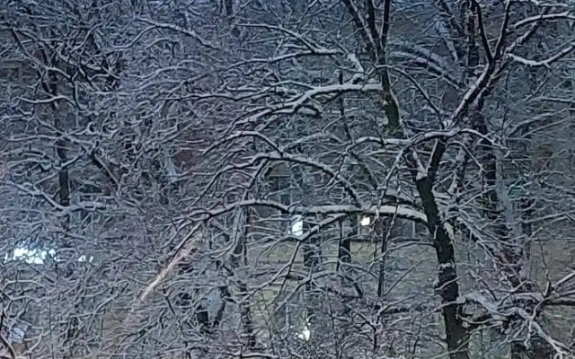 Апартаменты 1 У Старокалинкинского моста