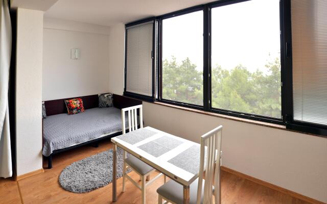 Vinogradnaya 22 G Apartments