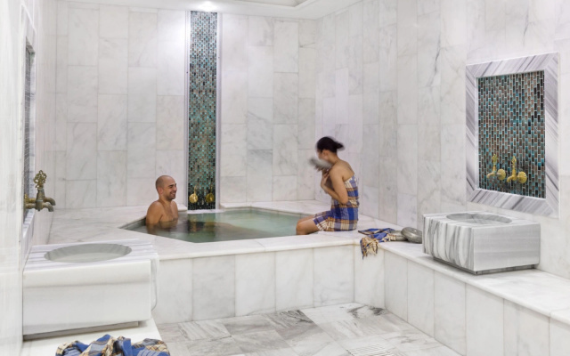 Istanbul Medikal Termal Hotel