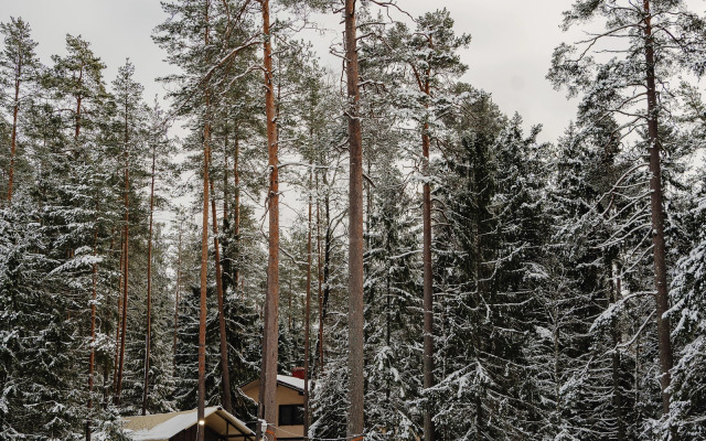 Глэмпинг Террасы