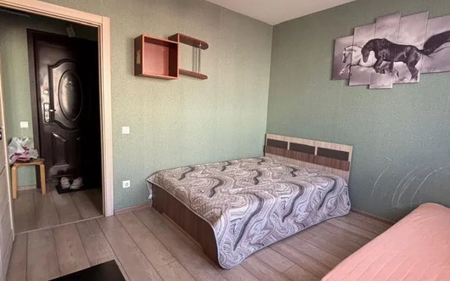 Квартира на улице Большая Санкт-Петербургская 106/4