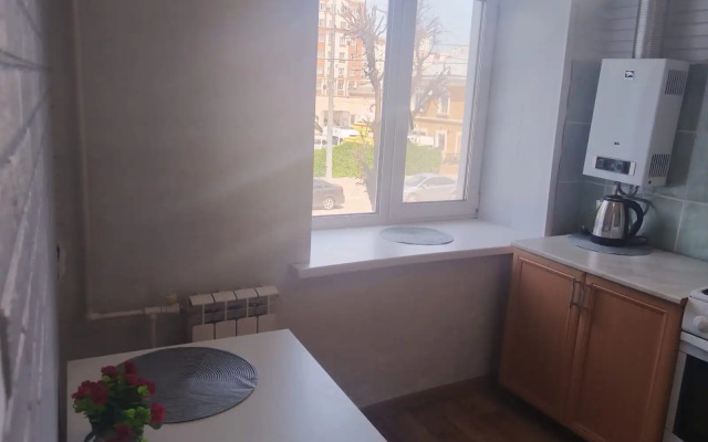Prostornaya V Tsentre Goroda Flat