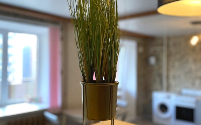 Pskov City Apartments Baltiyskaya  Flat