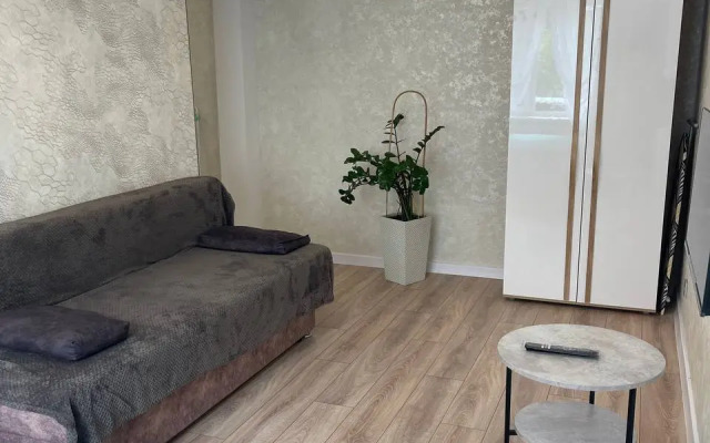 Квартира Уютная Однокомнатная в Центре Города Уссурийск