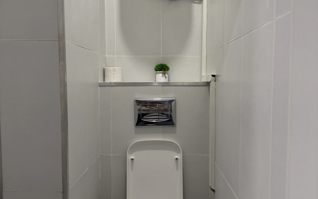 Апартаменты Уютная студия на Рижской