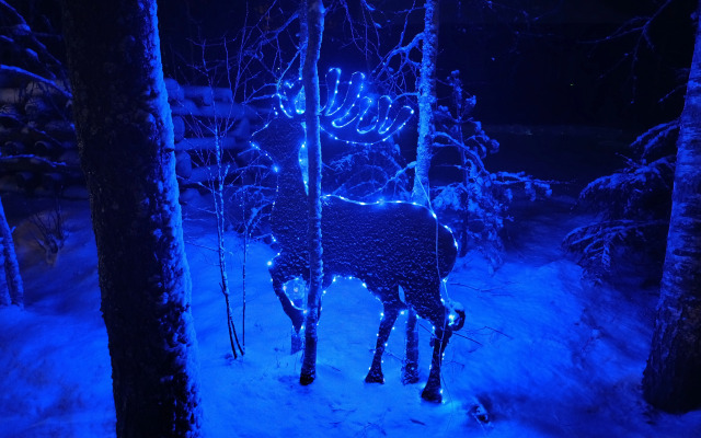 Частный дом Эко Дом