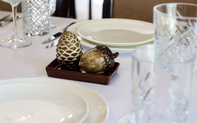 Отель Парк-отель Золотой желудь