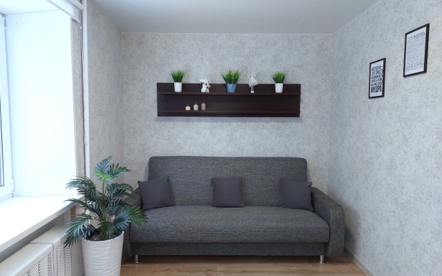 Yevrodvushka V Tsentpe Yaroslavlya Flat