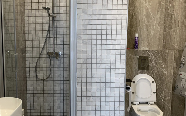 Квартира просторная в центре