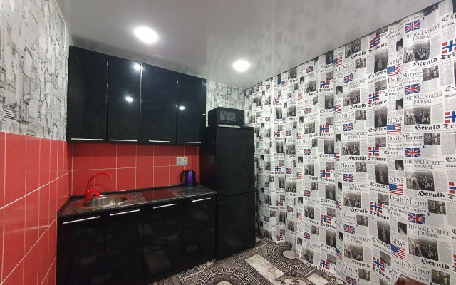 Апартаменты на Дудинской 2-х комнатные