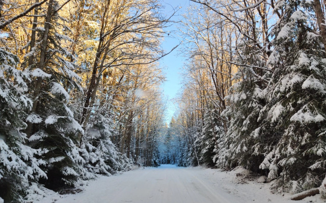 Частный Дом с Баней