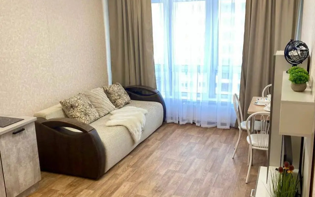 Квартира 2-комнатная студия в центре на Мичурина