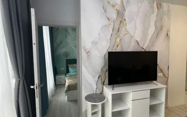 Квартира на Пластунской 123Ак3