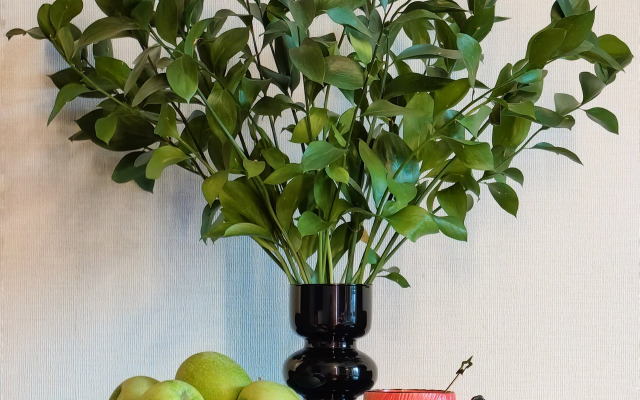 Квартира City House