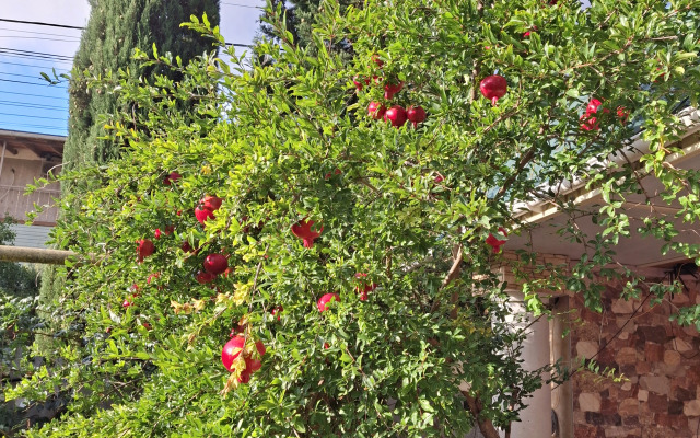 Гостевой дом Лето