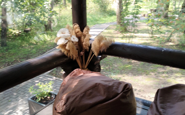 Частный Дом Уютный Домик в Лесу у Пруда