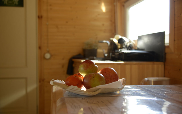 Ruzskie Luzhki Guest House