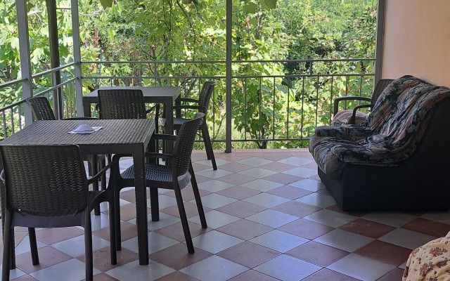 Nadezhda Guest house