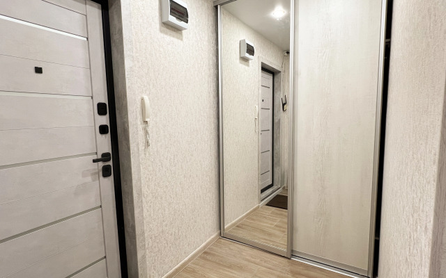 Квартира 1-комнатная на Пушкина 14