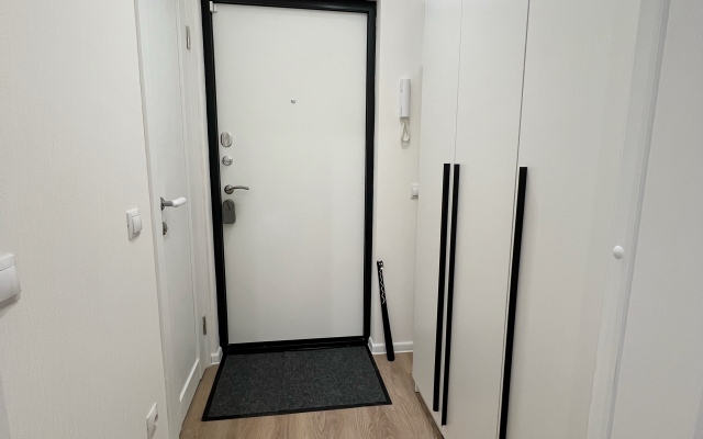 Zelenaya studiya v Rybatskom Flat