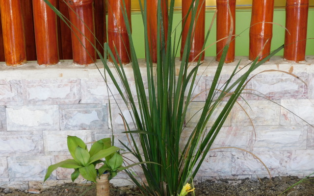 Casa de Huéspedes Yoli By Rotamundos