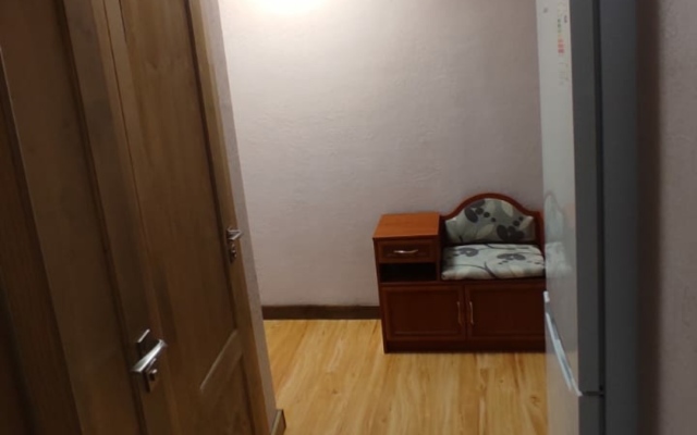 Centr Repina Street Flat